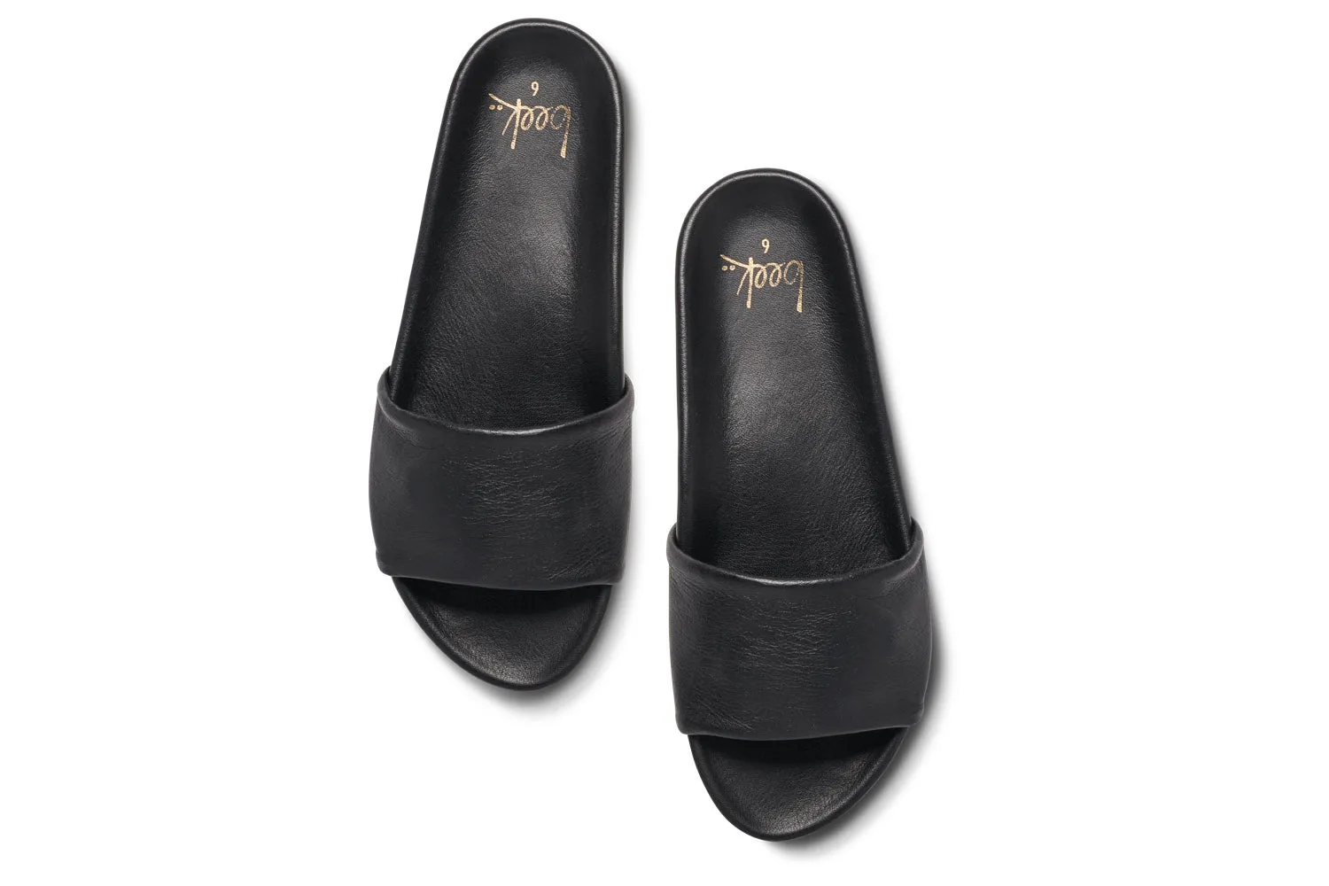 GALLITO - Black
