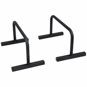 Low Parallettes (Stahl)