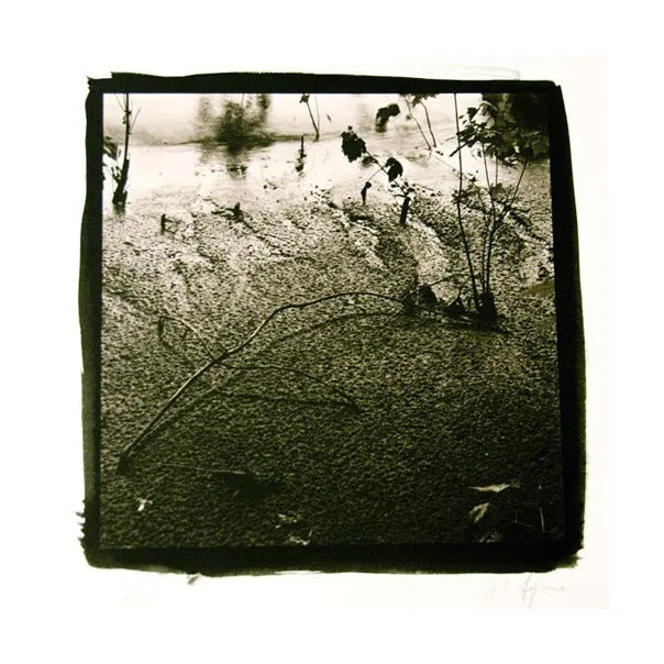 Low Water, Delaware