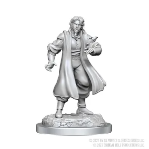 Male Human Sorcerer Merchant & Tiger Demon: Critical Role Unpainted Miniatures (W3)