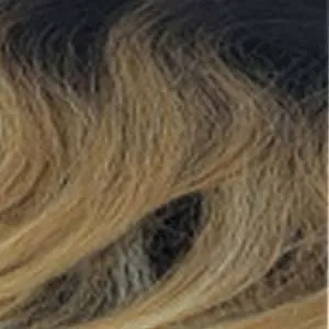 Outre Converti Cap Synthetic Hair Wig - DIVA DARLIN - Unbeatable