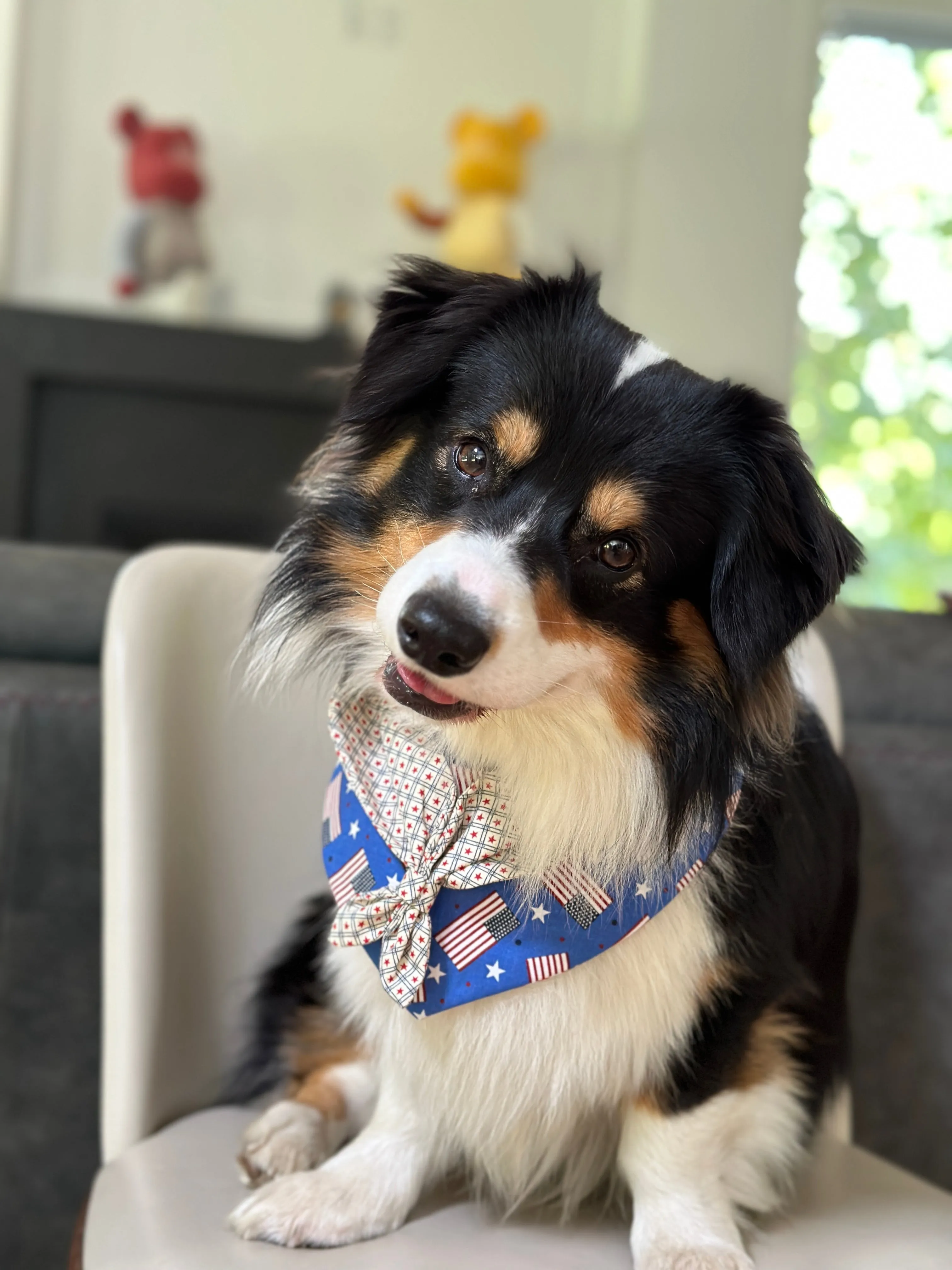 Scouts Bandana | All American Pup