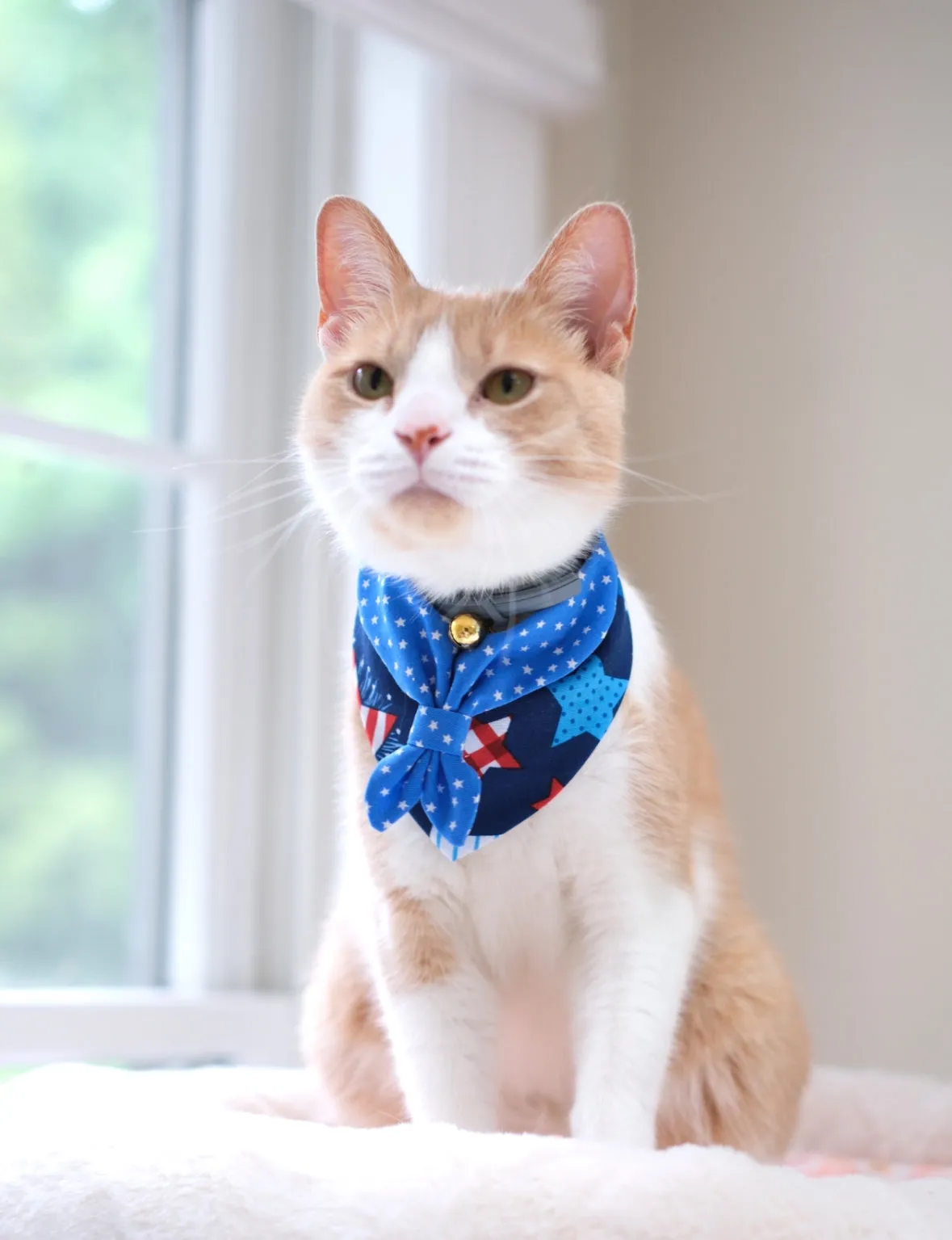 Scouts Bandana | American stars
