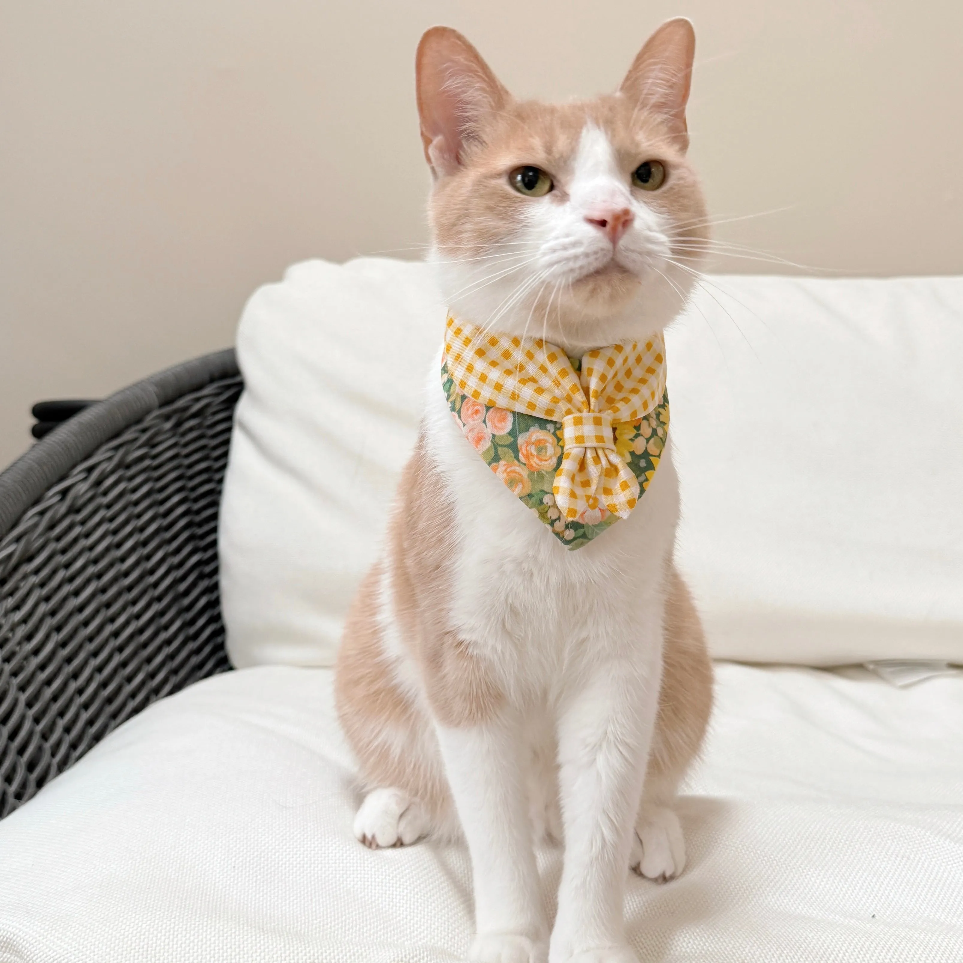 Scouts Bandana | You are the Sunshine