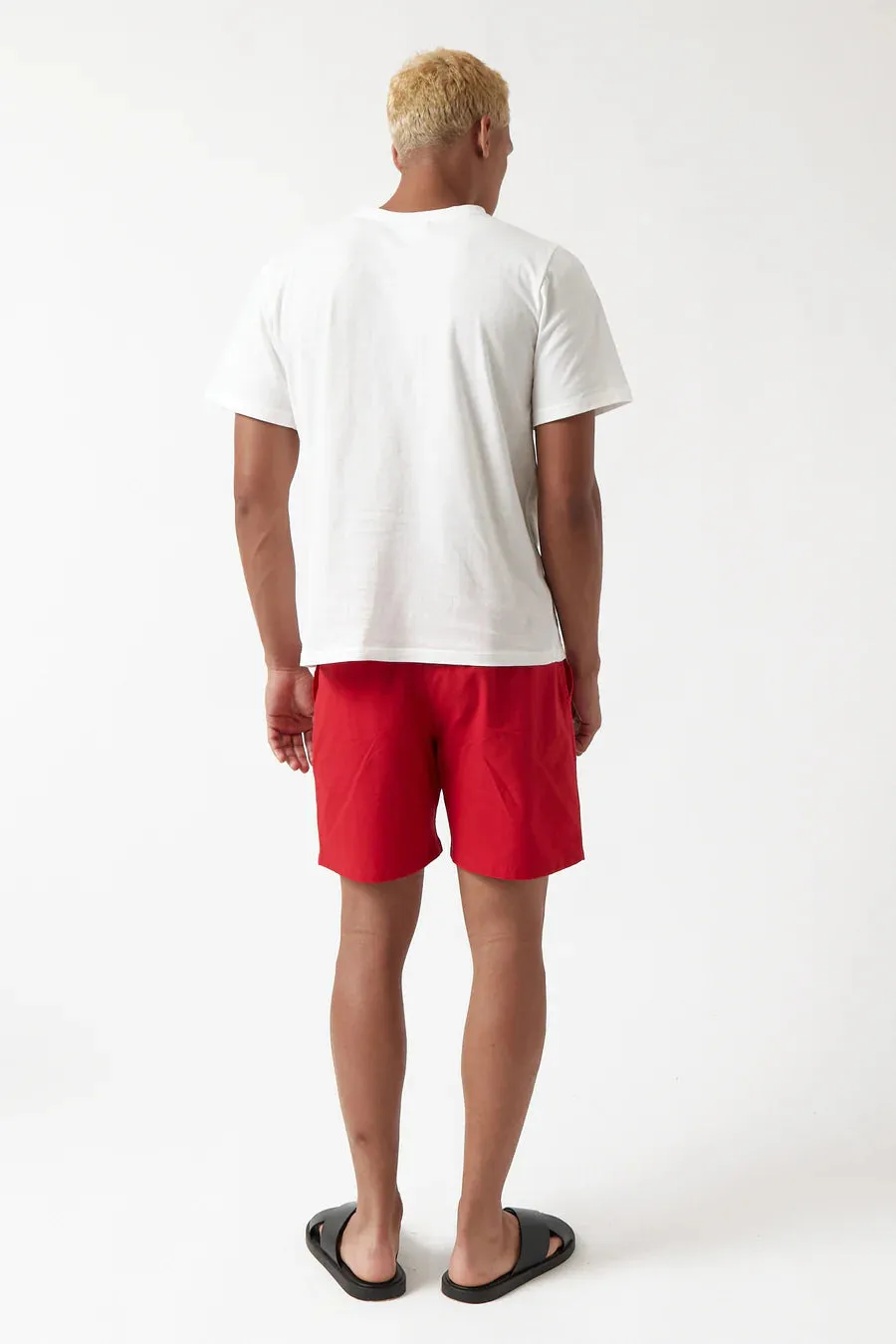 t-shirt tomatoes