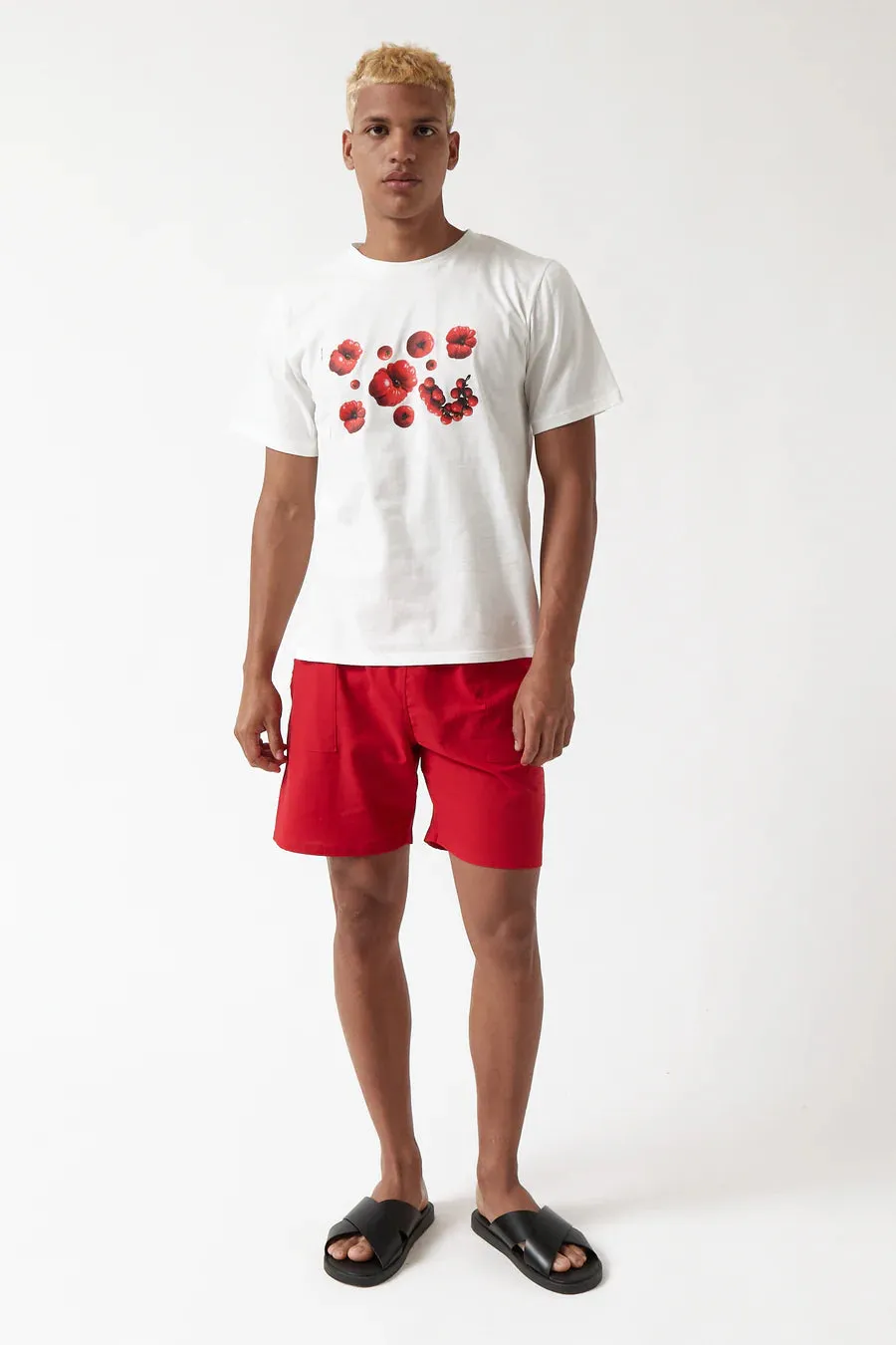 t-shirt tomatoes