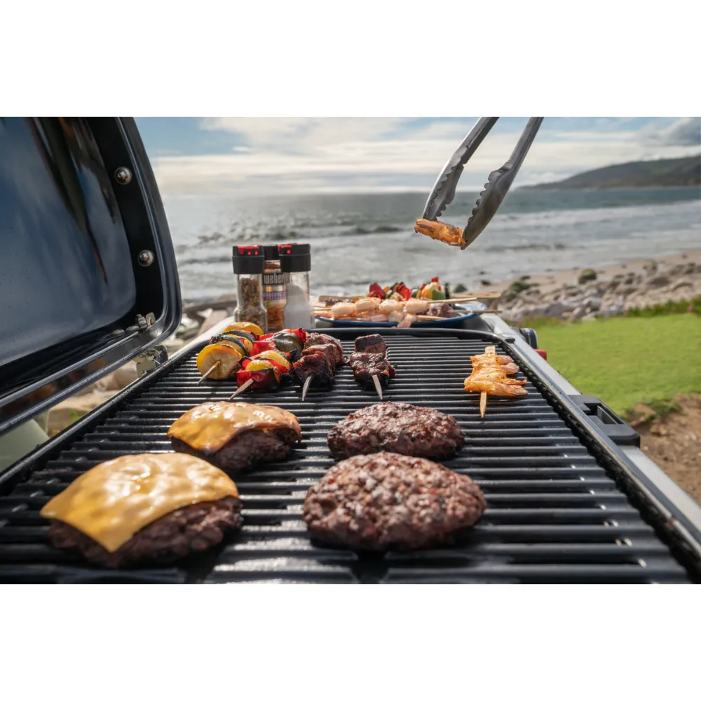 Weber Traveler Black